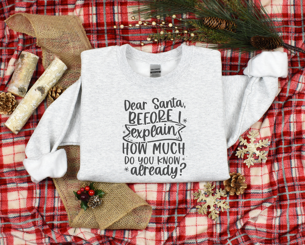 Dear Santa, Before I Explain Sweatshirt