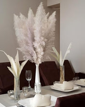 Load image into Gallery viewer, Natural Dried Pampas Grass

