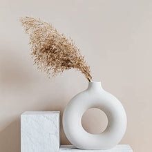 Load image into Gallery viewer, Boho Decor, Fluffy Pompas Grass

