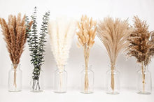 Load image into Gallery viewer, Boho Pampas Grass Decor
