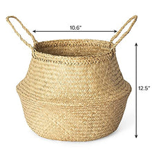Load image into Gallery viewer, Woven Seagrass Plant Basket - Wicker Belly Basket Planter Indoor with Plastic Liner and Handles, Natural Plant Pot for Fiddle Leaf Fig Tree, Snake Plant and Monstera. (L, Natural- Beige)
