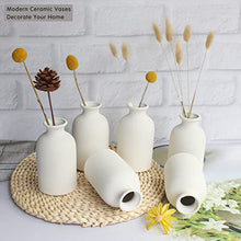 Load image into Gallery viewer, White Vase Small Ceramic Vases
