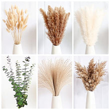 Load image into Gallery viewer, Boho Pampas Grass Decor
