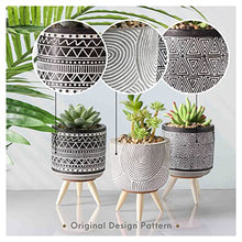 Load image into Gallery viewer, Modern Artificial Potted Plants for Home Decor, Boho Indoor Small Fake Plants, Faux Succulents in Ceramic Planter for Bathroom, Shelf, Office Desk, Gift Choice, 5x3 inches -3PCS
